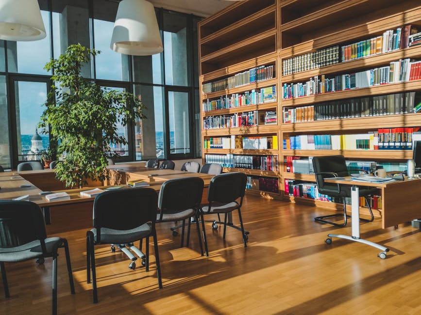 Sunlit library room with wooden shelves, books, and modern chairs in Cluj-Napoca.
